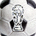 2026年世界杯官网(FIFA World Cup 2026) 官方网站Logo 底部标志